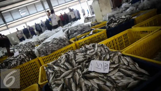 2016324-Pelelangan-Ikan-Muara-Angke-Jakarta-FF