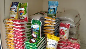 Harga Beras Premium di Pasar Rp 14 Ribu per Kg, Pasokan Aman