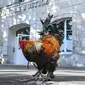 Seekor ayam jantan berdiri di luar pengadilan tinggi (Tribunal de Grande Instance) di Rochefort, Prancis barat, Kamis (4/7/2019). Ayam bernama Maurice tersebut dituduh terlalu berisik oleh tetangganya sehingga menyebabkan polusi suara yang berlebihan. (Photo by XAVIER LEOTY / AFP)