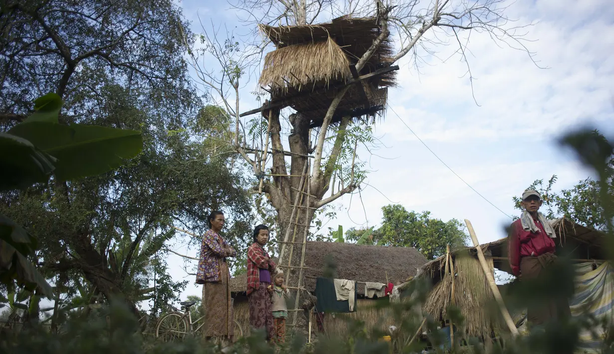 Warga berdiri di dekat sebuah rumah pohon di desa Taik Kyi, Myanmar, 14 Januari 2016. Warga di desa ini terpaksa membuat rumah pohon untuk tempat berlindung dari kawanan gajah liar yang belakangan ini kerap menyerang desa Taik Kyi. (AFP PHOTO/Ye Aung THU)