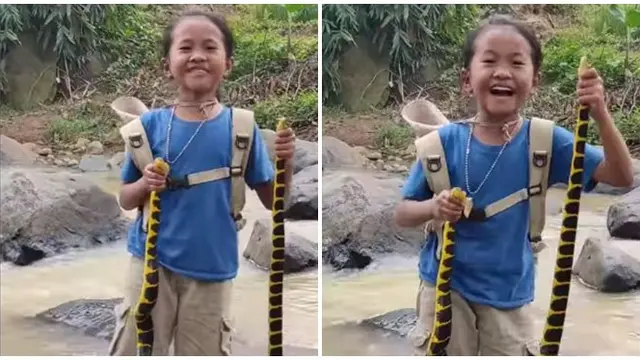 Bikin Merinding, Bocah Ini Mampu Taklukkan Ular Cincin Emas hingga King Cobra