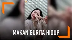 Apes benar yang dialami wanita ini ketika sedang menayangkan siaran makan menggunakan seekor gurita hidup. Bukannya berhasil, gurita malah menempelkan tentakelnya di wajah si wanita.