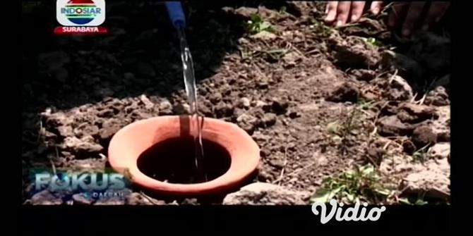 VIDEO: Mahasiswa Pertanian di Jember Kembangkan Sistem Irigasi Kuali