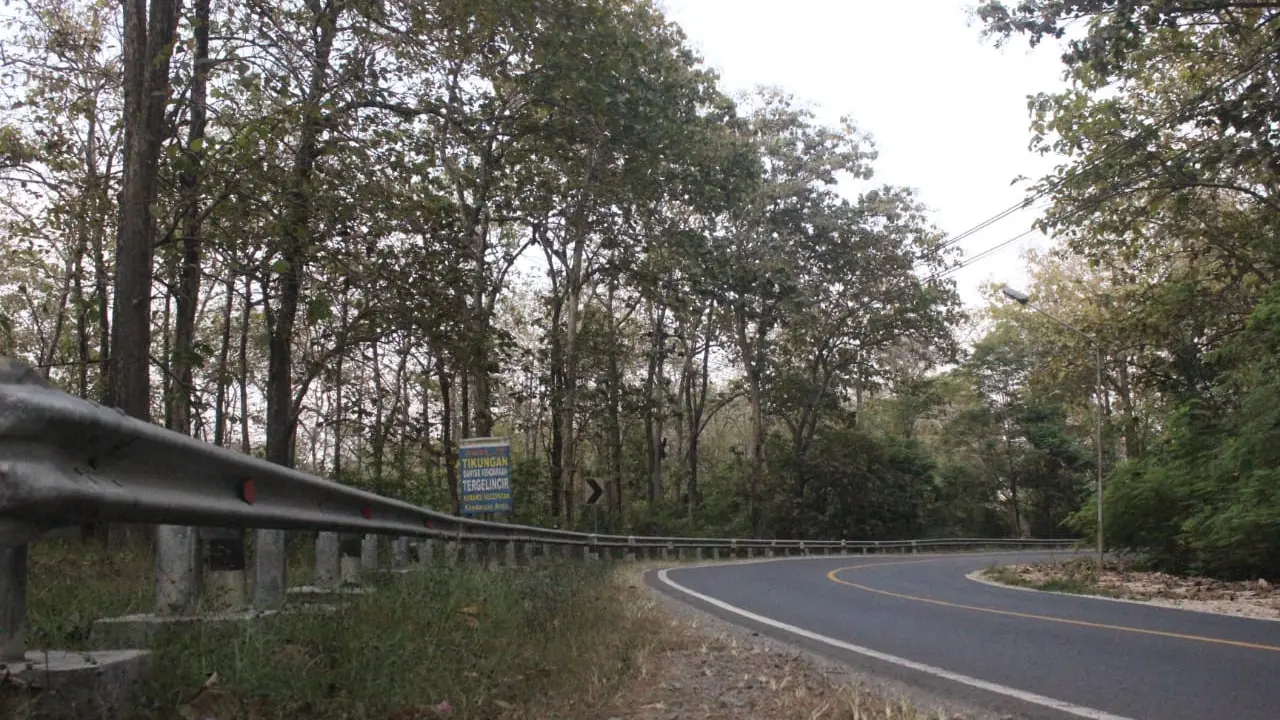 Hutan Gunung Jati Blora