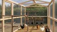 Cara Membuat Umbaran Ayam dari Kawat Bekas, Praktis dan Kuat