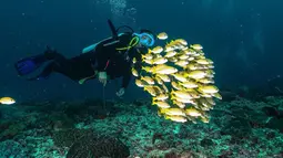 Sammy Simorangkir bahagia tak terkira, ultahnya dihadiri oleh ikan-ikan kecil berwarna kuning. (Foto: Instagram/@sammysimorangkir)