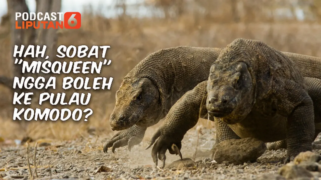 (Foto: Tim infografis Liputan6.com)