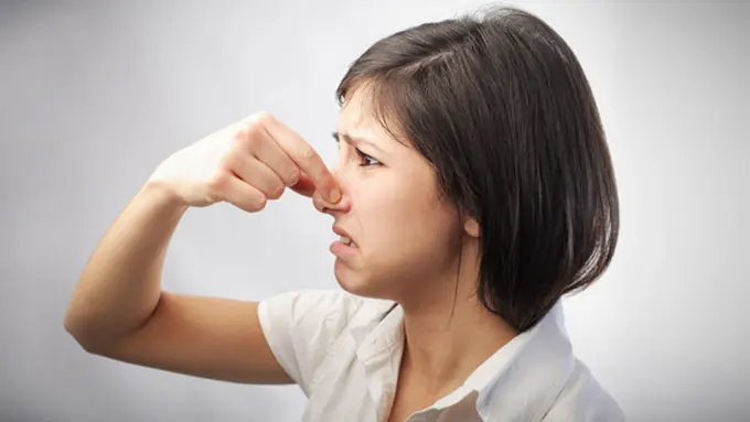 copyright by shutterstock.com