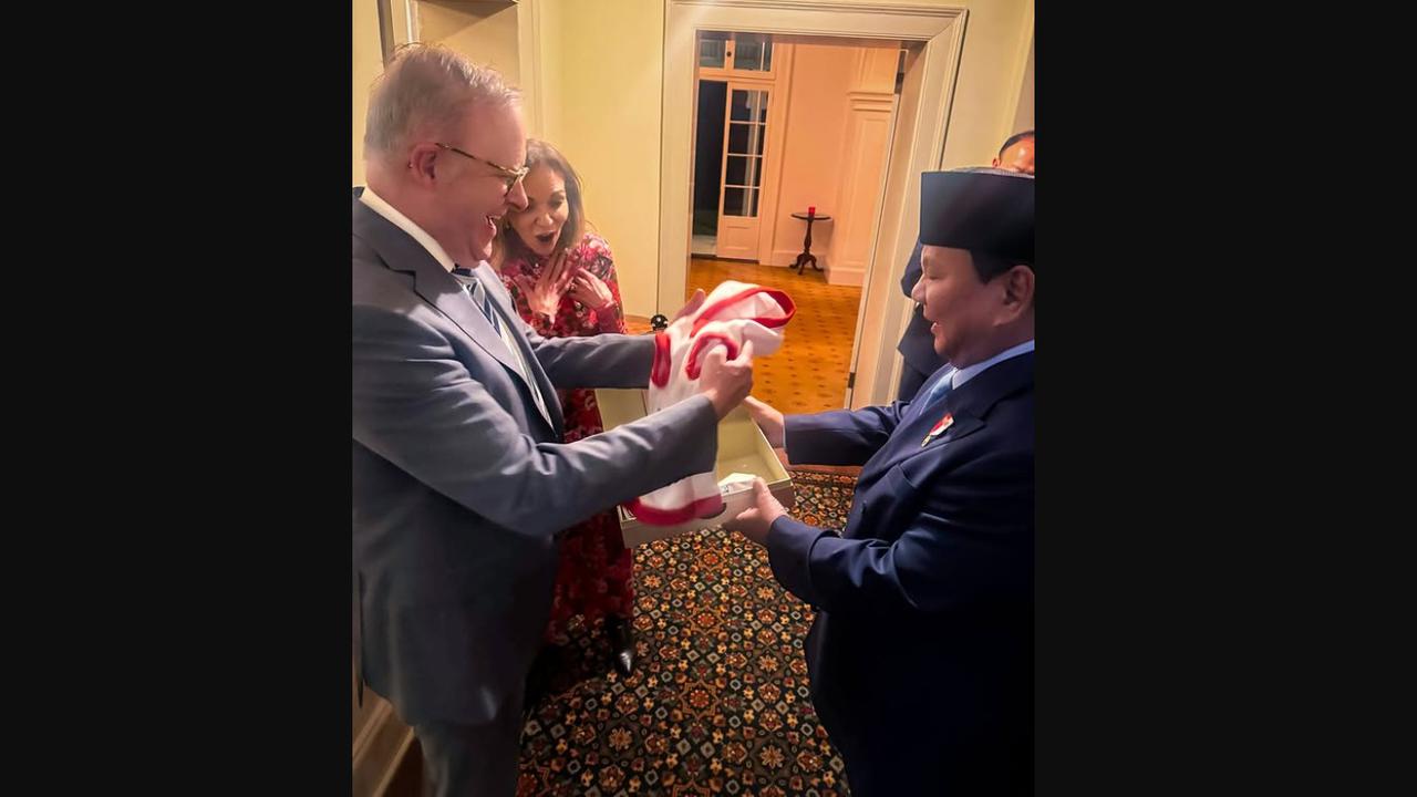 Hadiah dari Presiden Prabowo Subianto untuk Toto, anjing kesayangan Perdana Menteri (PM) Australia Anthony Albanese..