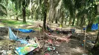 Pondok milik orang rimba di Sungai Mendelang, Merangin Hancur. Sekelompok orang rimba menjadi korban intimidasi. (Liputan6.com / dok KKI Warsi)