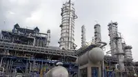 Proyek ini rencananya memiliki kapasitas produksi methanol 1 juta ton per tahun