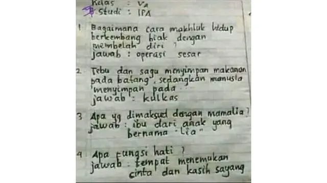 7 Jawaban Siswa Kerjakan Soal Ini Cerdas Banget, Tak Terpikirkan