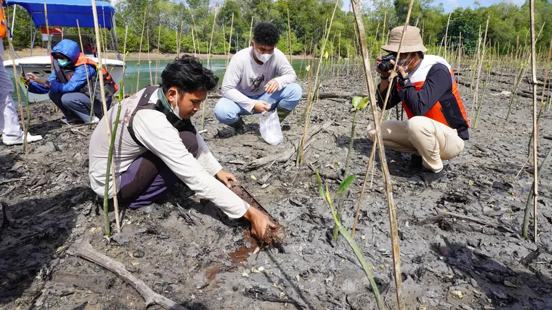 Pertamina Foundation melakukan reforestasi dengan penanaman 1.292.000 pohon daratan di Hutan Pertamina UGM, 1.261.000 mangrove di Hutan Pertamina Mahakam, dan 882.000 mangrove di Hutan Pertamina Badak LNG. (Liputan6.com/Jayadi Supriadin)