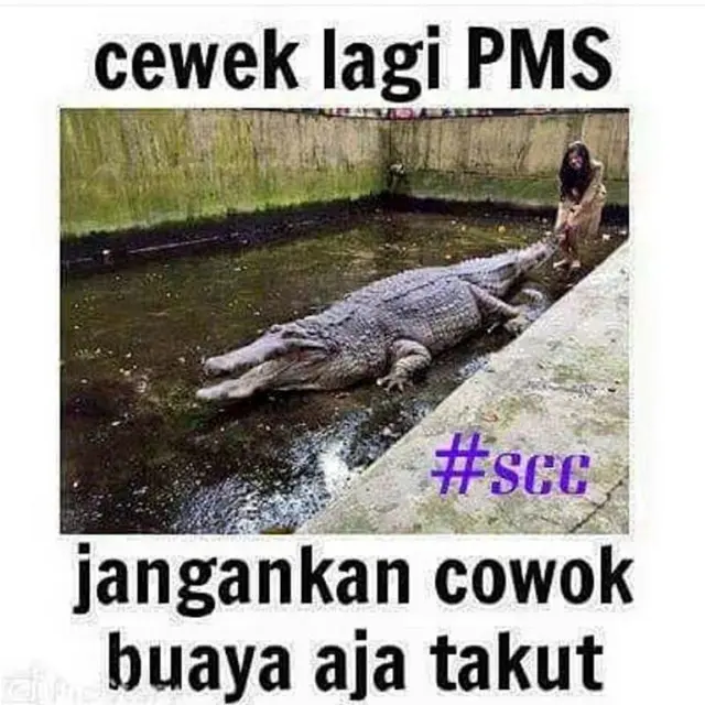 Enggak Jelas Maunya, Ini 7 Meme Cewek Kalau Lagi PMS yang Bikin Takut
