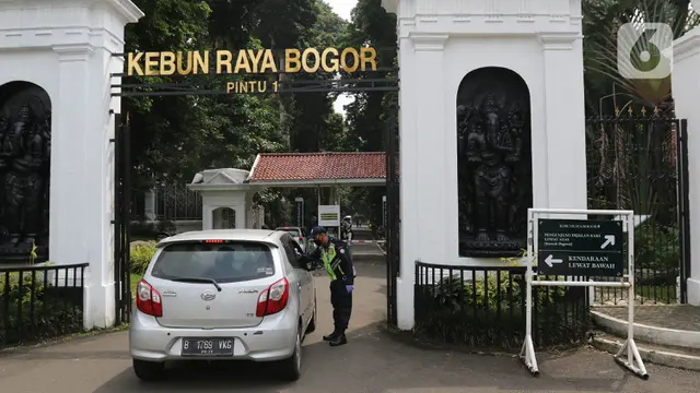 FOTO: Hore, Kebun Raya Bogor Kembali Dibuka