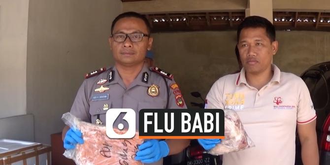 VIDEO: Bali Waspadai Serangan Virus Flu Babi Afrika