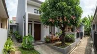 7 Pohon Buah Peneduh untuk Halaman Sempit, Bikin Rumah Adem Tanpa Ganggu Pondasi