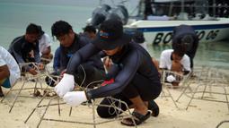 Bagi masyarakat Maratua yang mata pencaharian utamanya sebagai nelayan, ekosistem terumbu karang yang lestari juga memberikan dampak positif tersendiri. Ikan jadi lebih banyak, sehingga hasil tangkapan nelayan pun jadi lebih melimpah. (Dok. BRI)