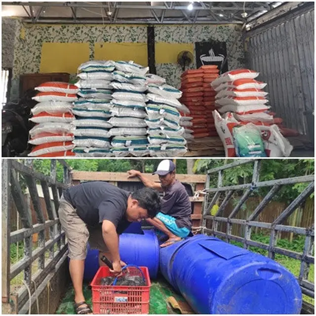 Ilustrasi stok pakan ikan dan kegiatan panen, Koperasi Mina Karya Madani