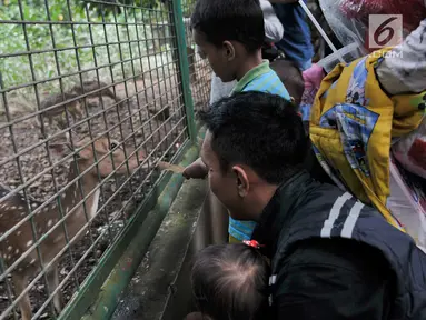 Warga saat melihat binatang rusa di Taman Margasatwa Ragunan, Jakarta Selatan, Senin (26/6). Memasuki lebaran ke-2, warga menghabiskan waktu berkunjung ke taman rekreasi bersama keluarga. (Liputan6.com/Yoppy Renato)