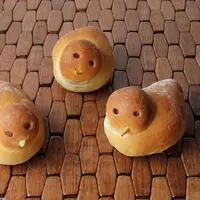 Lihat deh, roti-roti ini lebih cocok untuk dipelihara daripada dimakan, kan?