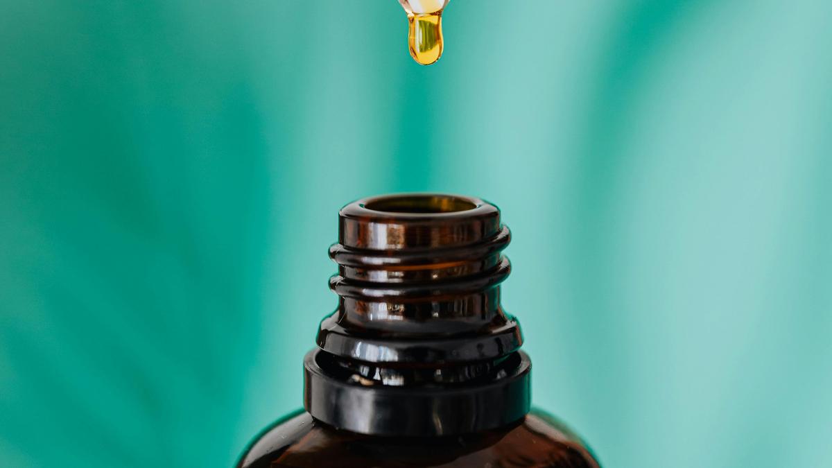 5 Manfaat Minyak Tawon yang Jarang Diketahui, Tidak Hanya untuk Luka!