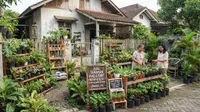 8 Peluang Bisnis Harian dari Halaman Rumah yang Sering Terabaikan, Bisa Jadi Sumber Cuan