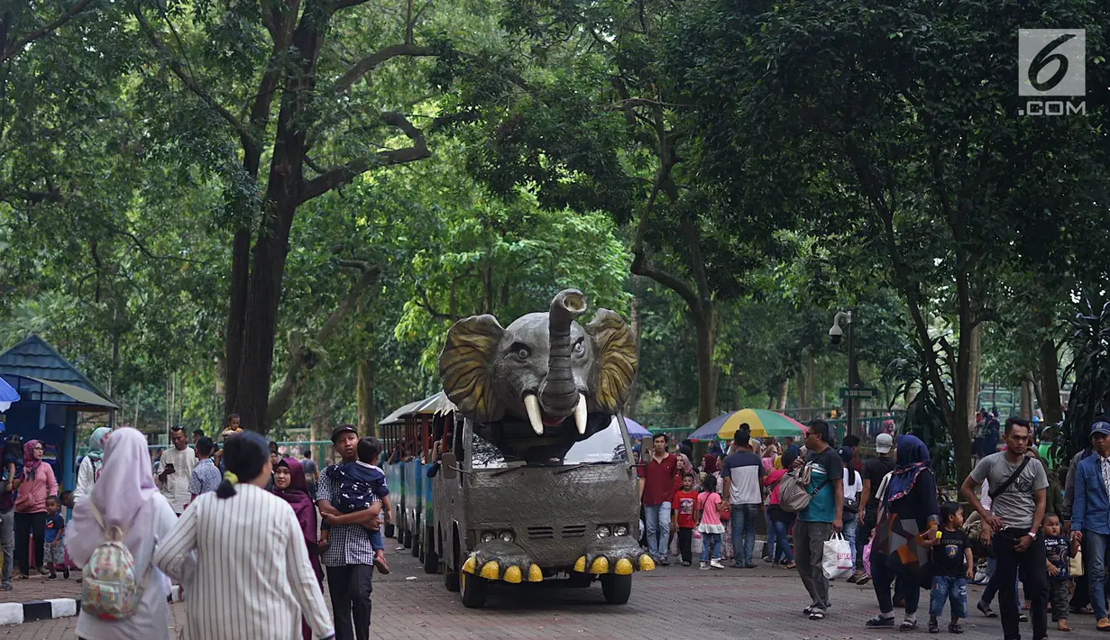 Pengunjung berkeliling dengan kereta di Taman Margasatwa Ragunan (TMR), Jakarta, Kamis (6/6/2019). Setidaknya sebanyak 49.394 warga Ibu Kota dan sekitarnya mengisi libur Lebaran bersama keluarga dengan mengunjungi destinasi liburan murah meriah tersebut. (Liputan6.com/Immanuel Antonius)