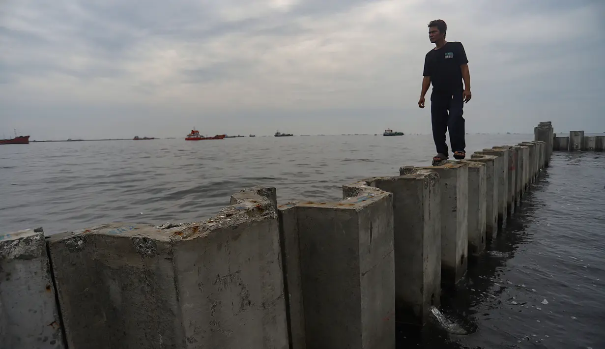 Kementerian Kelautan dan Perikanan (KKP) telah mengungkap pemilik tanggul beton tersebut. (merdeka.com/Arie Basuki)