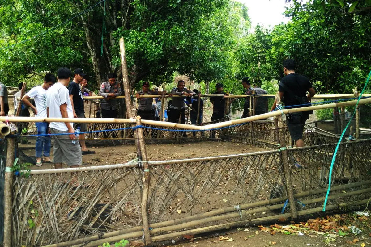Gerebek Tempat Judi Sabung Ayam, Polisi Kaget Ada Anggota Dewan