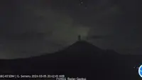 Gunung Semeru Erupsi, tinggi Letusan Capai 800 meter (Istimewa)