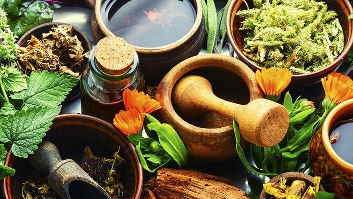5 Rebusan Daun Ini Ampuh untuk Turunkan Gula Darah, Apa Saja Jenisnya?
