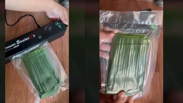 Tahan hingga 1 Bulan, Ini Cara Efektif Simpan Daun Pisang Agar Awet Segar dan Tetap Hijau