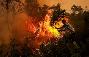 Potret Kabut Asap Karhutla Kepung Sumatra dan Kalimantan