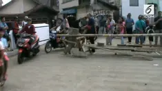 Tim Jaguar Depok membubarkan Orms yang menutup akses salah satu jalan di Kota Depok. Ormas tersebut menggunakan jalan tersebut sebagai terminal bayangan