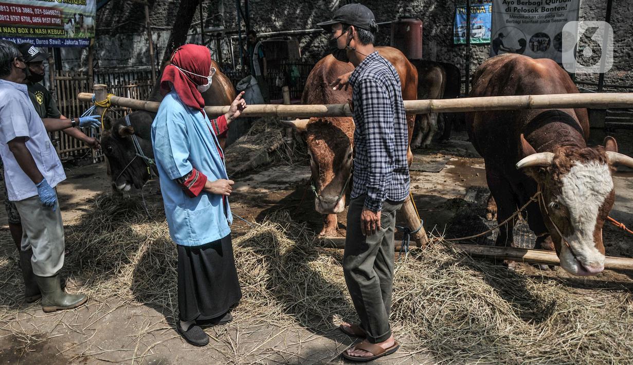 Tim dokter berbincang kepada salah satu pemilik saat memeriksa kesehatan hewan kurban di Jalan I Gusti Ngurah Rai, Jakarta, Kamis (15/7/2021). Sudin KPKP Jakarta Timur juga melakukan pemeriksaan di penampungan yang tersebar di 10 kecamatan. (merdeka.com/Iqbal S. Nugroho)