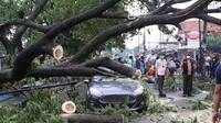 Mobil tertimpa pohon tumbang di Kota Tangerang. (Liputan6.com/Pramita Tristiawati)