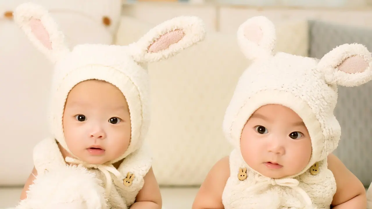 hamil anak kembar
