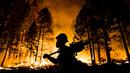 Seorang petugas pemadam saat berusaha memadamkan api yang membakar Hutan Nasional Sierra, California, AS, Jumat (21/8/2015). Mereka berusaha agar api tak menyebar luas hingga pemukiman penduduk. (REUTERS/Max Whittaker)