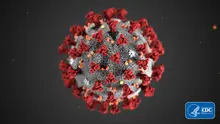 Ilustrasi Novel Coronavirus 2019 (2019-nCoV). Hingga saat ini, wabah virus corona masih belum bisa dimusnahkan. (CDC via AP, File)