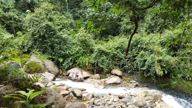 Gunung Tambuyukon terletak di area Taman Kinabalu. Gunung ini memiliki ketinggian 2.579 mdpl. (Dok: Gunung Bagging https://www.gunungbagging.com/tambuyukon/nggallery/page/1)