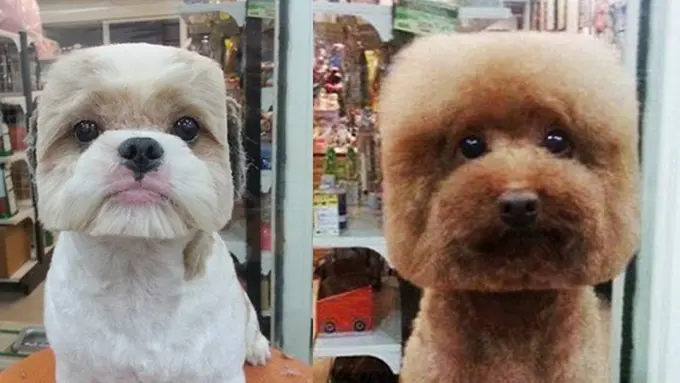 Photo: Copyright asiantown.net