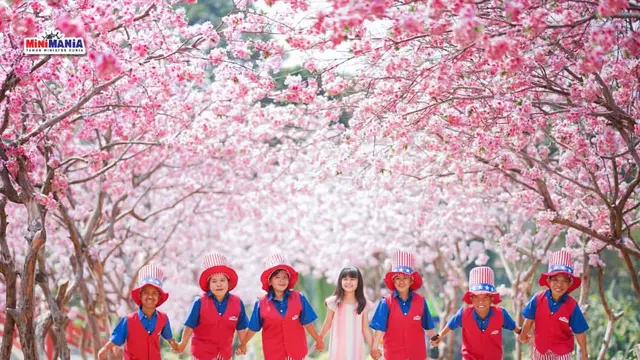 Sakura Park di Destinasi Wisata Mini Mania Puncak.