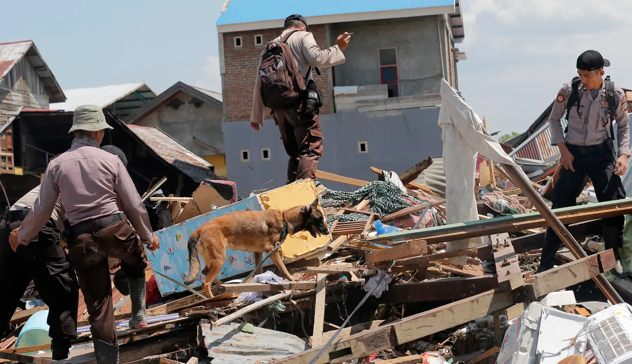 Unit K9 dibantu anjing pelacak mencari korban di antara puing bangunan usai gempa dan tsunami menerjang Palu, Sulawesi Tengah, Rabu (3/10). Anjing K9 telah membantu menemukan jasad korban yang tertimbun reruntuhan. (AP Photo/Tatan Syuflana)