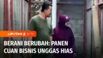Budidaya unggas hias milik Aditya Permana di Kabupaten Magelang, digelutinya sejak masih duduk semester satu di bangku kuliah. Tak dinyana, rintisan bisnisnya mampu membuahkan pundi-pundi cuan. Inilah Berani Berubah, episode Panen Cuan Bisnis Unggas ...