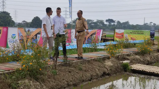 Direktur Bayer Indonesia (Tengah) Florian Zirnstein meninjau tanaman padi yang bekerjasama dengan Kementerian Pertanian di BPSIP Serang, Banten. (Liputan6.com/Dicky Agung Prihanto)