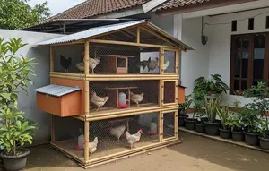 7 Model Kandang Ayam Bertingkat untuk Menghemat Tempat, Cocok di Lahan Sempit