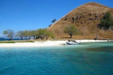 Pulau Komodo akhirnya keluar dari finalis 7 Keajaiban Dunia