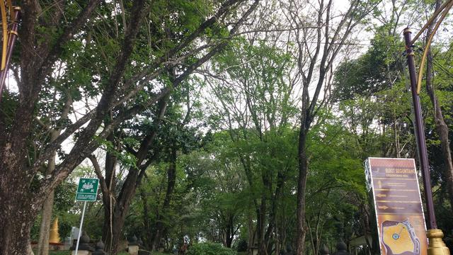 Menapaki Tangga Setapak Jejak Kerajaan Sriwijaya Di Bukit Siguntang Palembang Regional Liputan6 Com