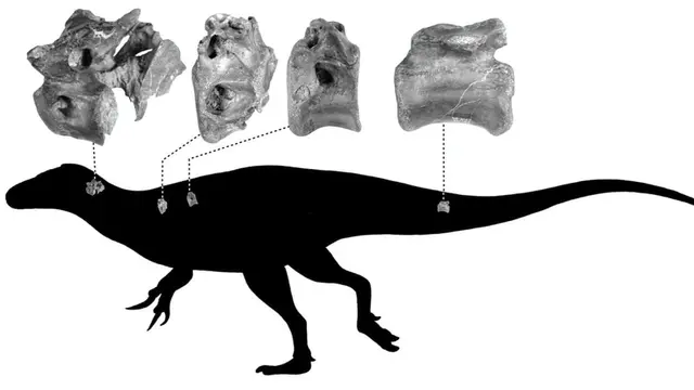 Posisi Fosil Dinosaurus (University of Southampton)